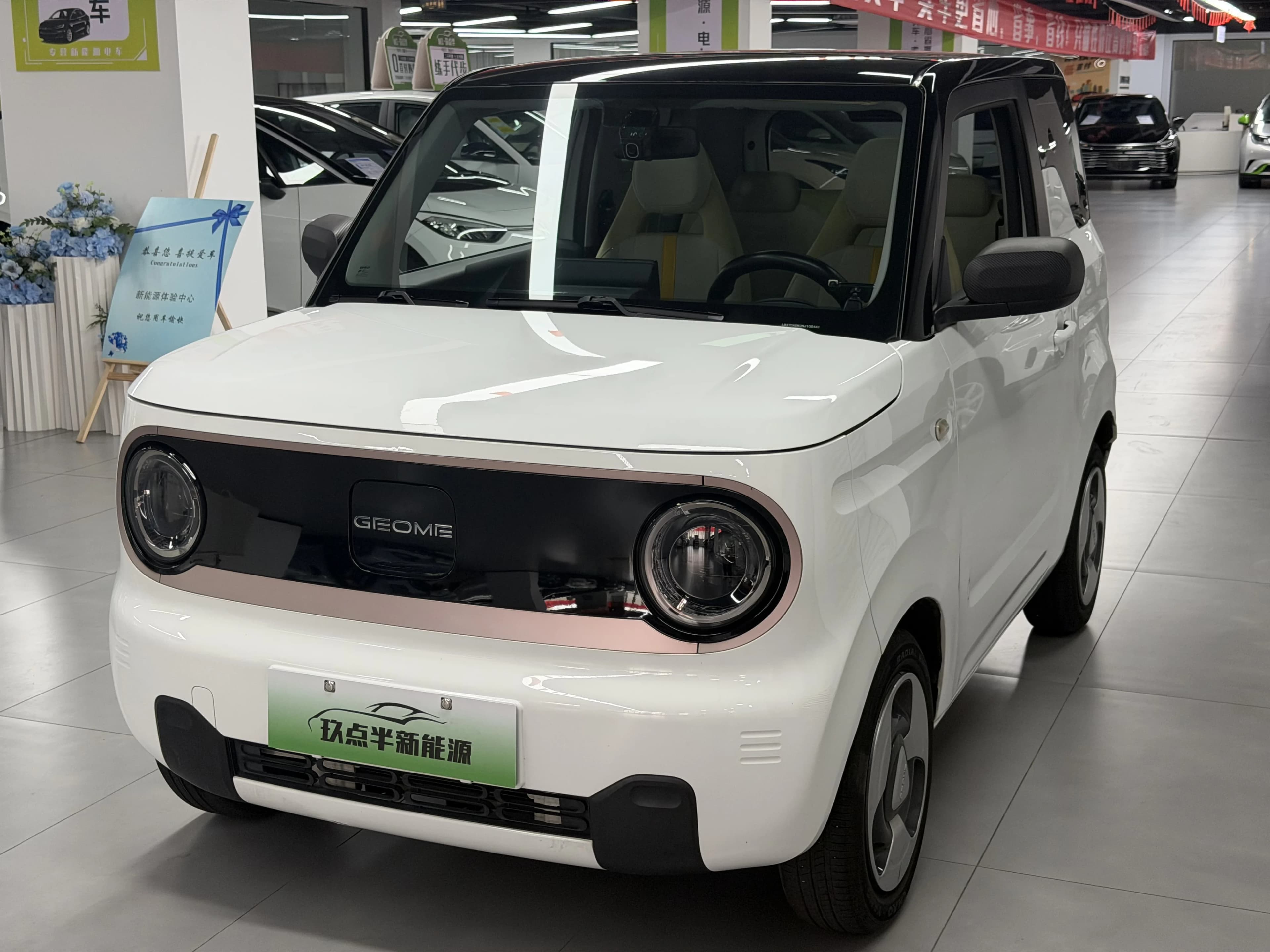 Geely Panda 2023 mini 200km Endurance Bear
