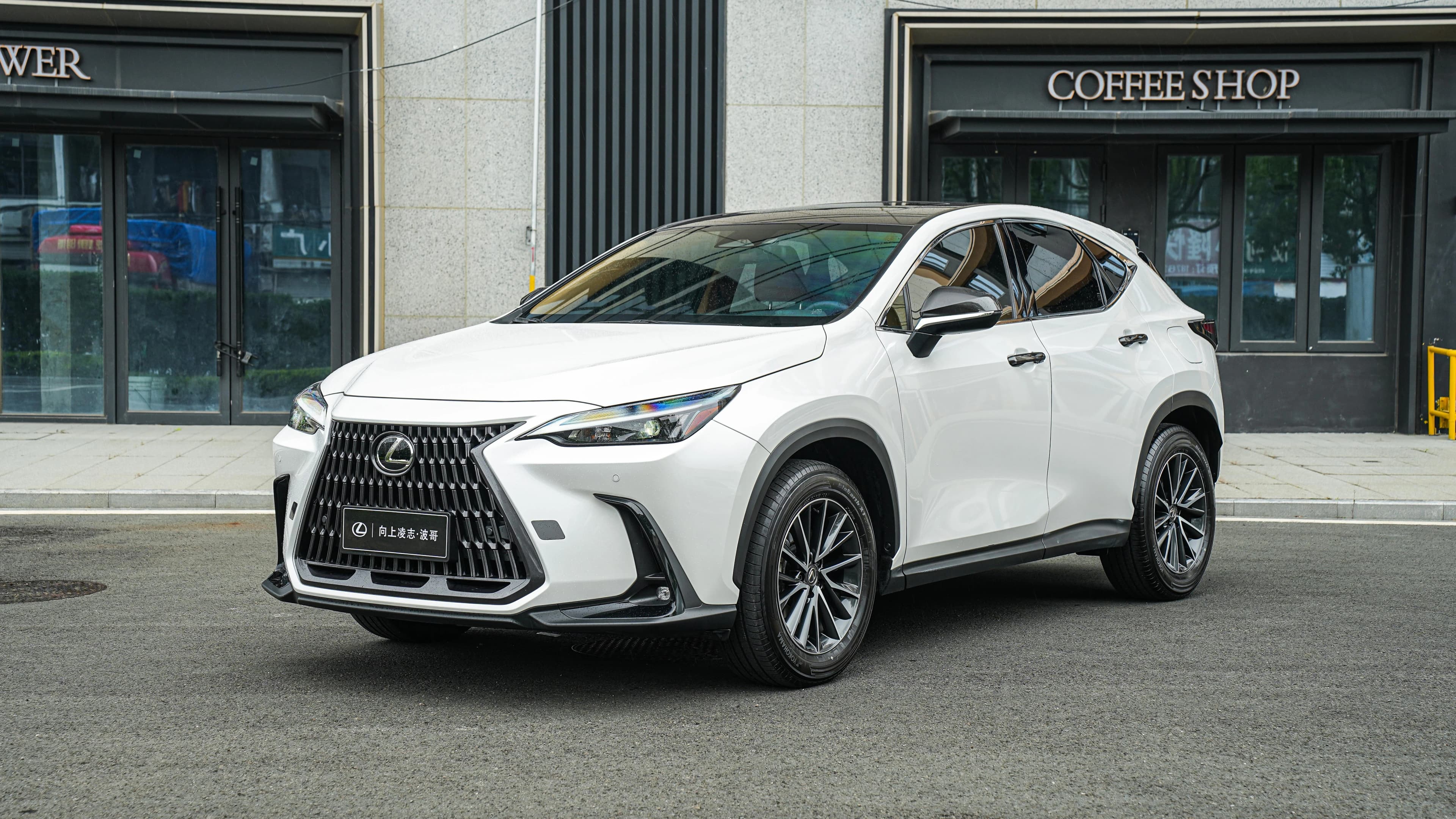 雷克萨斯 NX 2025款 260 前驱 十周年特别限量版
