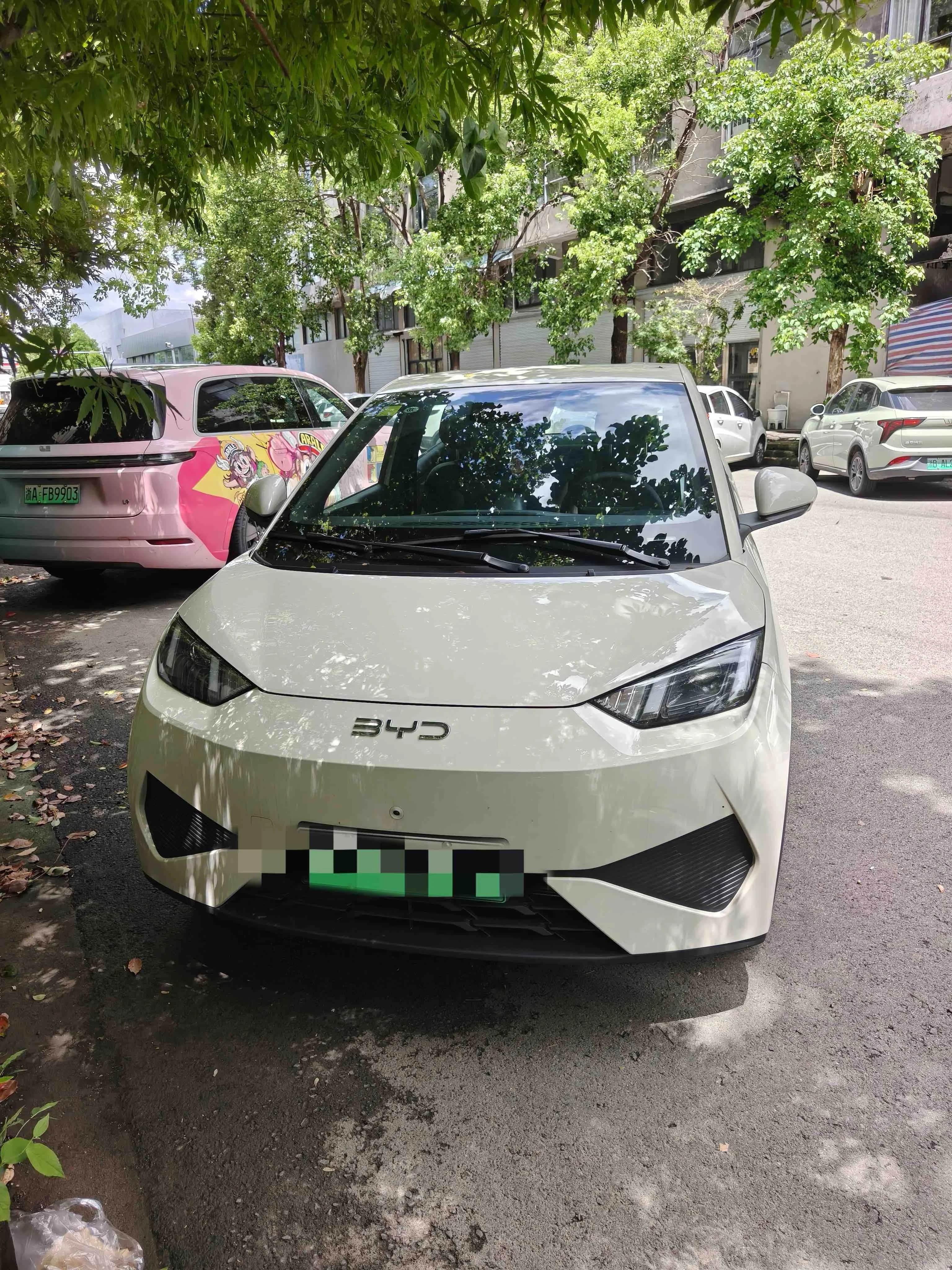 BYD Seagull 2026 305km Vitality