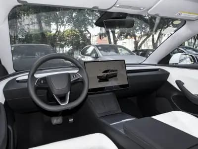 Tesla Model 3 2021 8