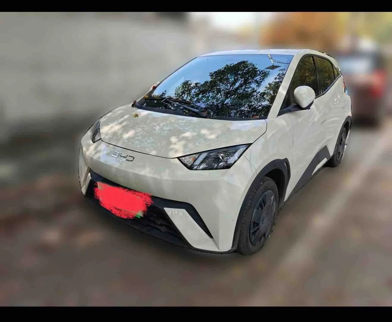 BYD Seagull 2024 Honor 305km