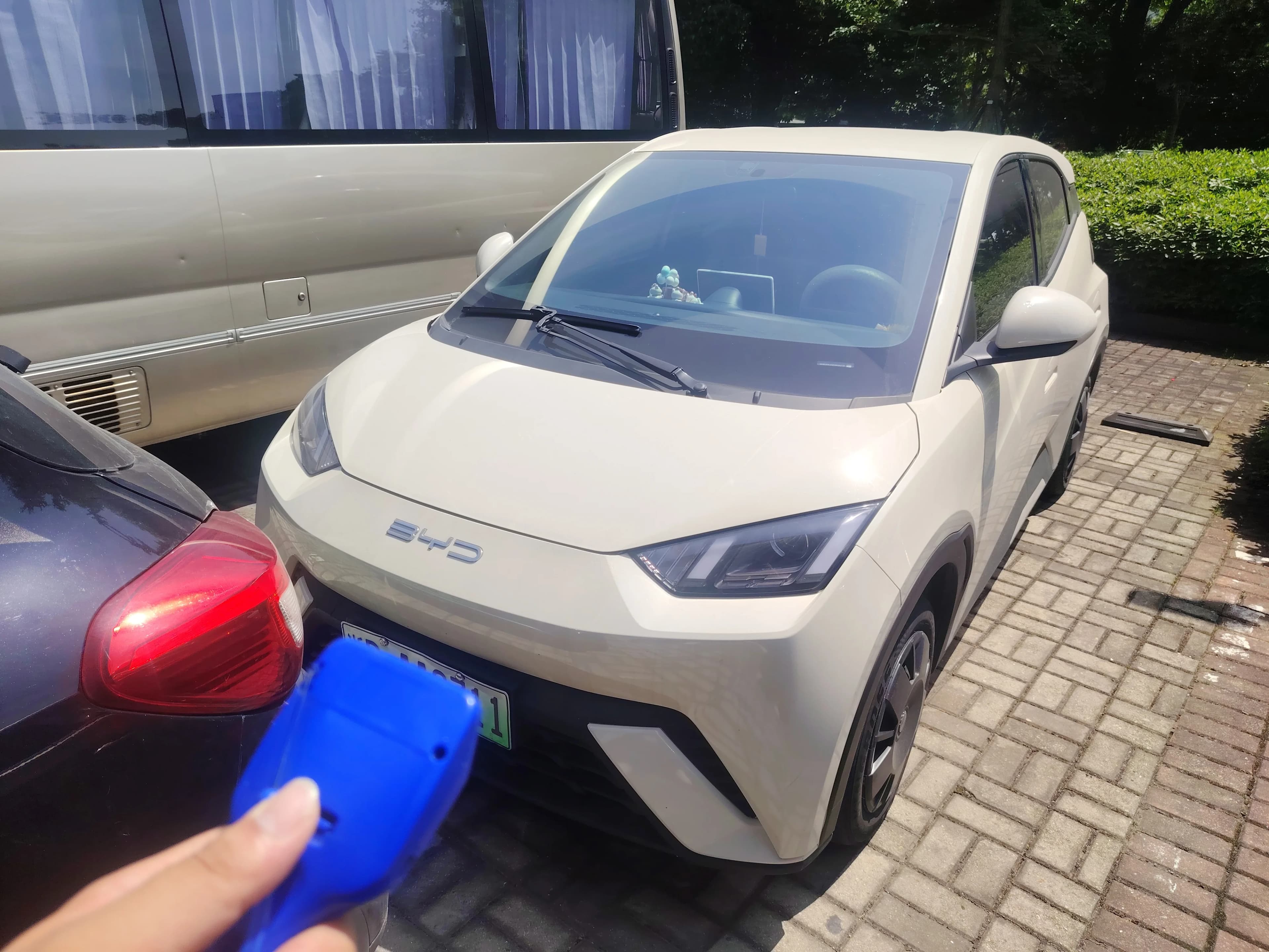 BYD Seagull 2023 Vitality