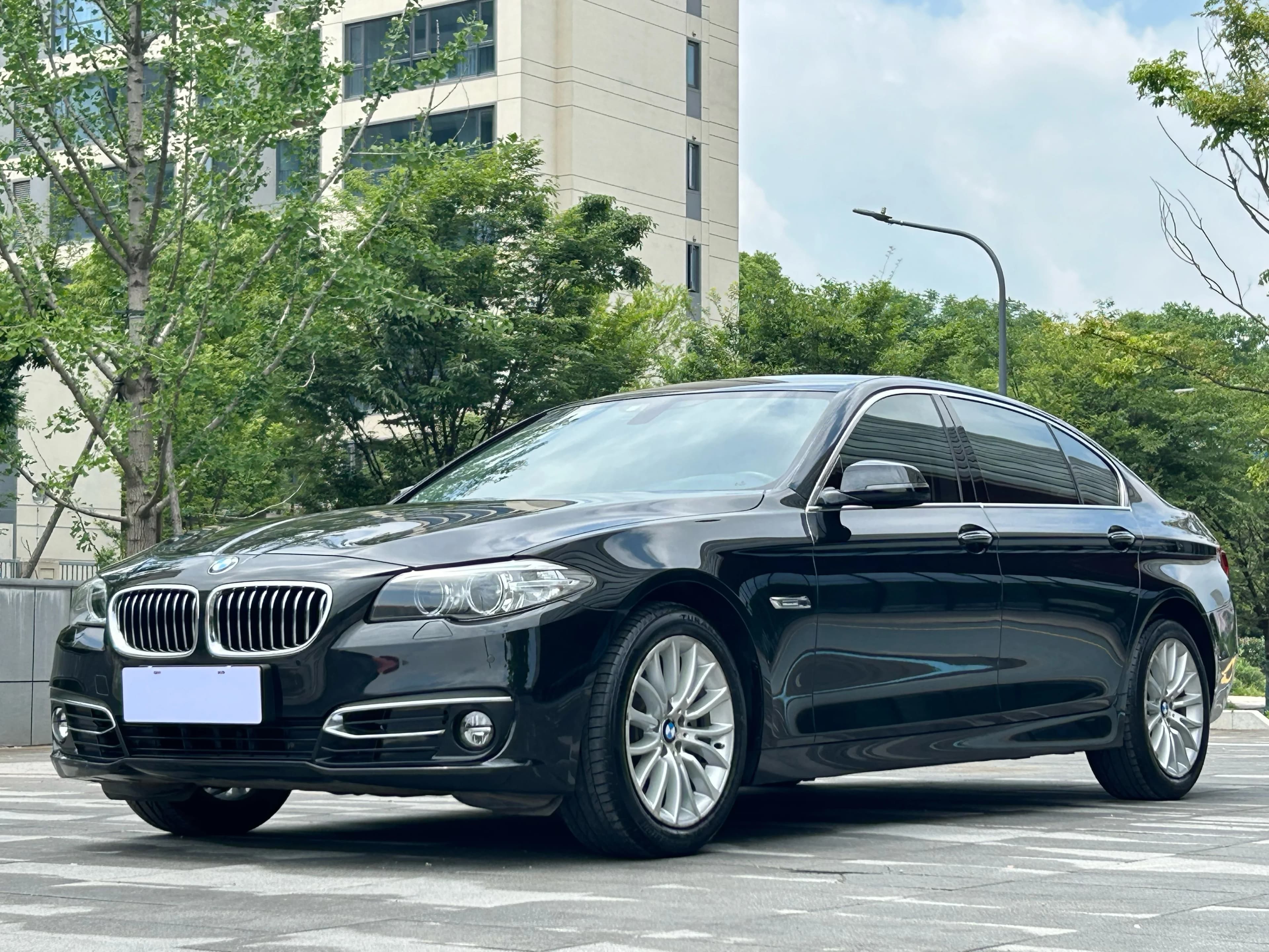 BMW 5 Series 2014 525Li Luxury Design Pack