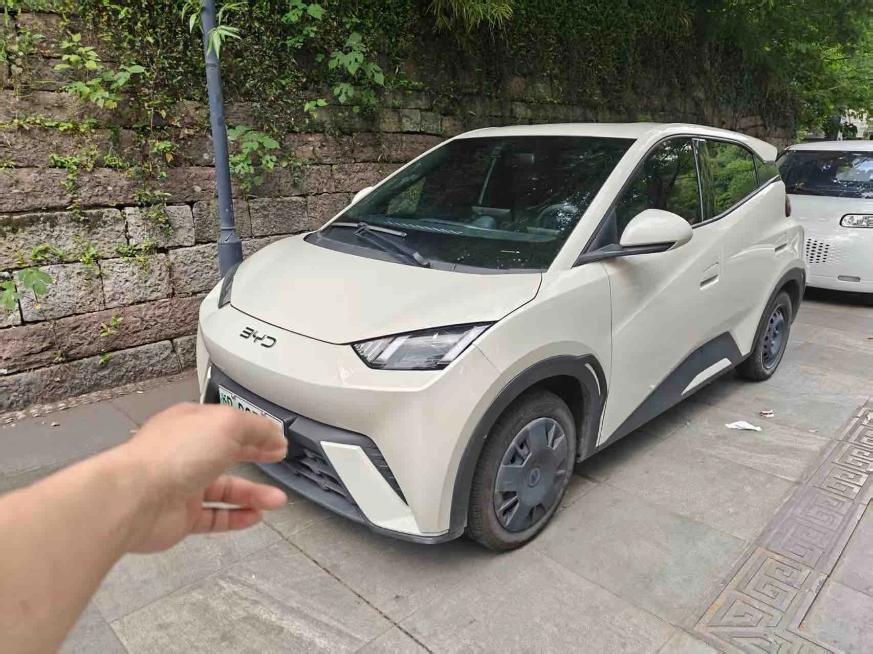 BYD Seagull 2024 Honor 305km Free