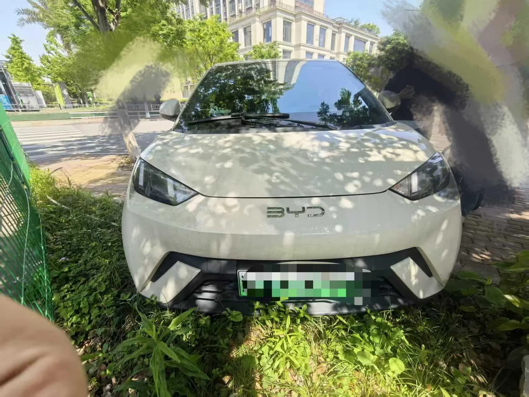 BYD Seagull 2024 Honor 305km Free