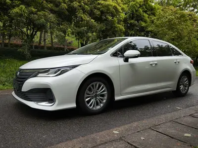 丰田 亚洲狮 2022款 2.0L 精英版