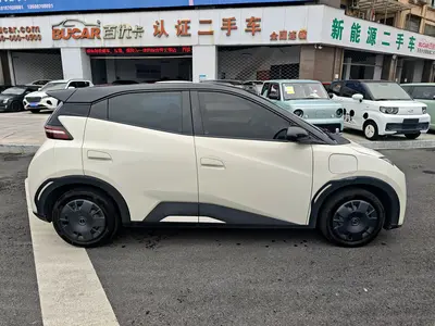 BYD Seagull 2024 Honor 305km Free thumbnail 4