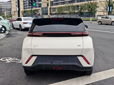 BYD Seagull 2024 Honor 305km Free thumbnail 6