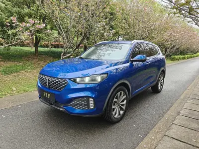 WEY VV6 2020 WEY VV6 2.0T 2WD+ Intelligent Protection