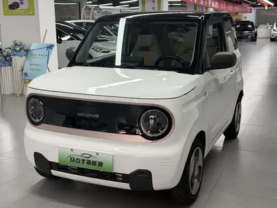 Geely Panda 2023 mini 200km Endurance Bear