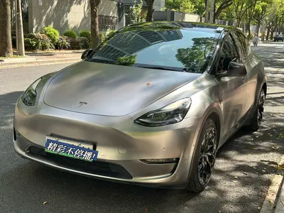 特斯拉 Model Y 2021款 标准续航后驱版