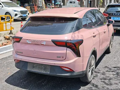 哪吒汽车 哪吒V 2021款 长续航行业定制版