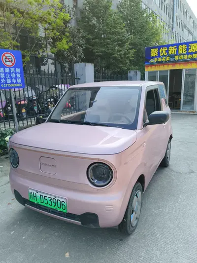吉利汽车 熊猫 2024款 mini 200km 耐力熊