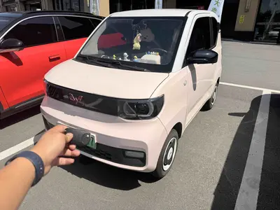 Wuling Hongguang MINI EV 2021 MINI EV 170km LFP