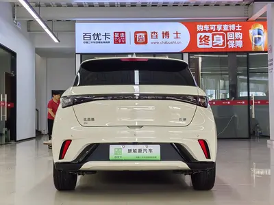 比亚迪 海豚 2025款 420km 活力版 thumbnail 5