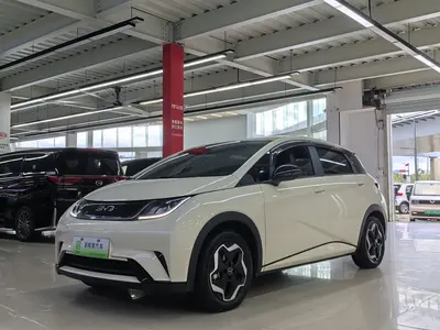 比亚迪 海豚 2025款 420km 活力版 thumbnail 1