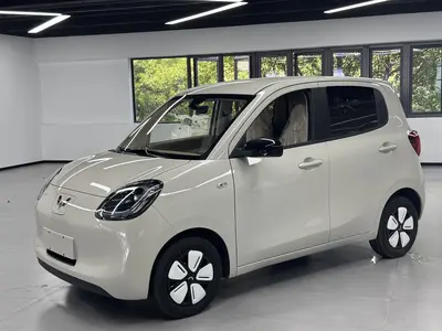 五菱汽车 宏光MINIEV 2024款 第三代 215km 进阶版