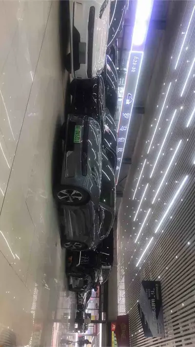 极氪 001 2022款 001 长续航双电机 WE版