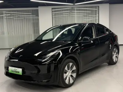 特斯拉 Model Y 2022款 后轮驱动版