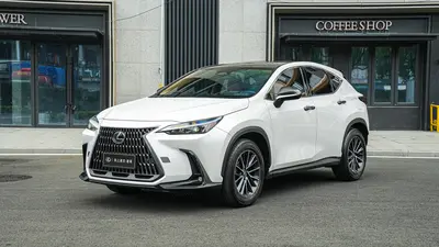 雷克萨斯 NX 2025款 260 前驱 十周年特别限量版