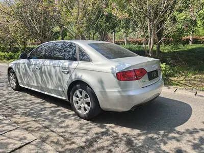 奥迪 A4L 2010款 2.0 TFSI 标准型