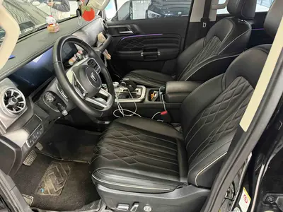 坦克 300 2022款 2.0T 游侠