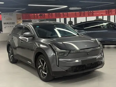 Nezha Neta U 2021 Pro 500 Industry Customization