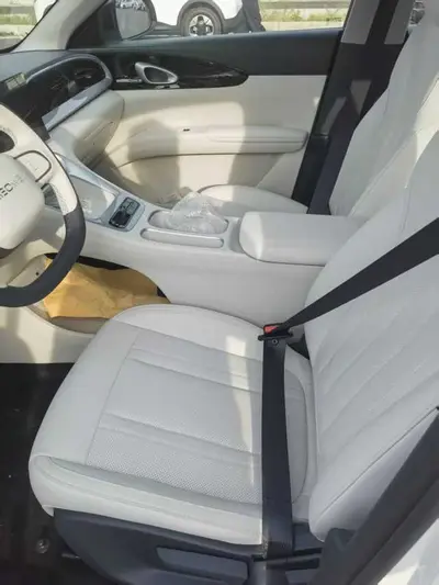 吉利银河 星愿 2026款 310km 青春版