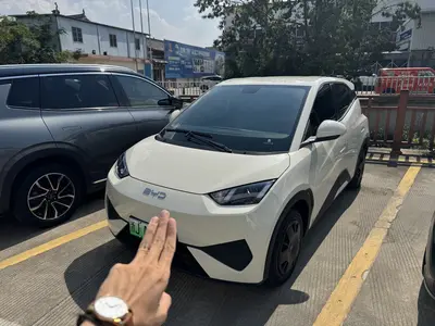 BYD Seagull 2025 Smart Drive 305km Vitality