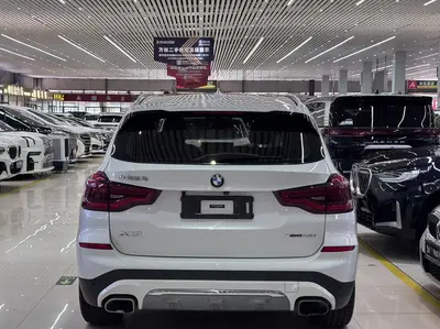 宝马 X3 2019款 xDrive28i 豪华套装 thumbnail 4