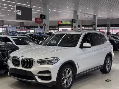 宝马 X3 2019款 xDrive28i 豪华套装