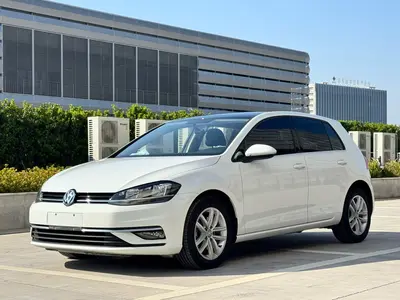 大众 高尔夫 2019款 1.6L 自动时尚型 国V