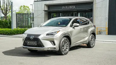 雷克萨斯 NX 2020款 200 前驱 锋行版 国VI thumbnail 2