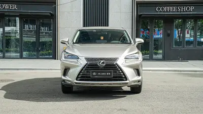 雷克萨斯 NX 2020款 200 前驱 锋行版 国VI thumbnail 3