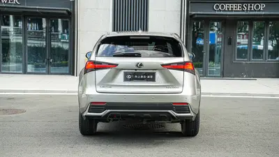 雷克萨斯 NX 2020款 200 前驱 锋行版 国VI thumbnail 6