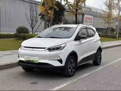 比亚迪 元新能源 2019款 EV535 智联领潮型