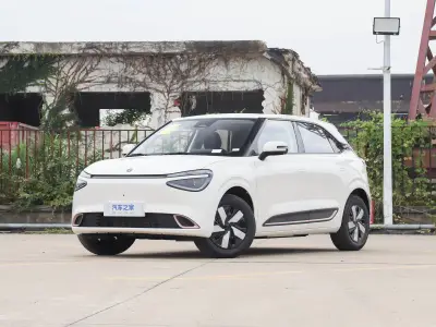 DongFengYiPai Nano 01 2024 Dongfeng Yipai Nano 01 430 Ed