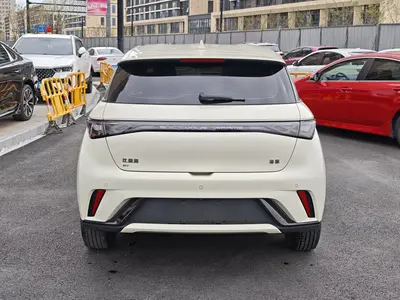 BYD Dolphin 2024 420km Honor Freedom