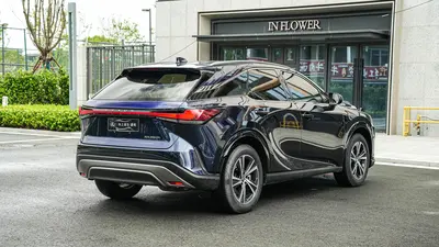 雷克萨斯 RX 2023款 350h 两驱舒享版 thumbnail 5