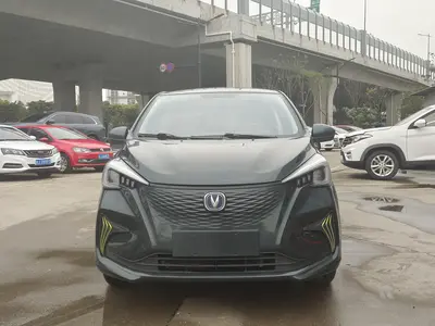 Changan Benben E-Star 2022 LFP Qingxin Duocai