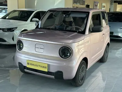 吉利汽车 熊猫 2024款 mini 200km 耐力熊 thumbnail 1
