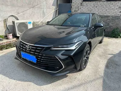 丰田 亚洲龙 2023款 2.0L 进取版