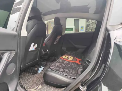 Tesla Model Y 2021款 标准续航后驱版