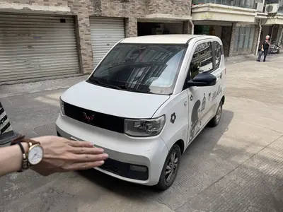 Wuling Hongguang MINI EV 2021 MINI EV LFP